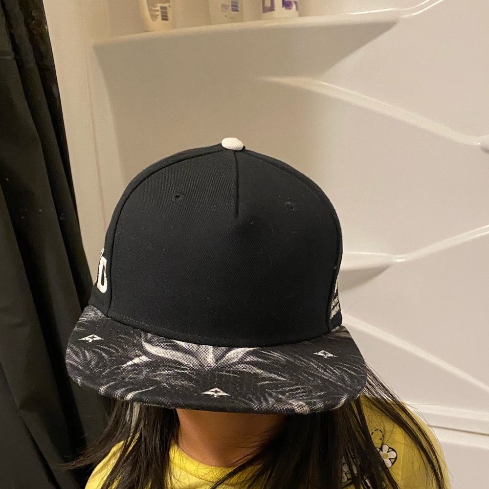 LRG 6 Panel Cap